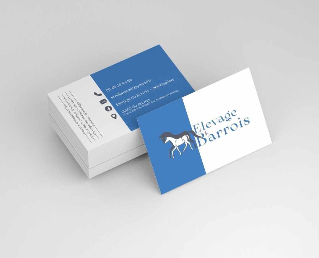 logotype et cartes de visite par Margaux Nennig Graphiste & Webdesigner