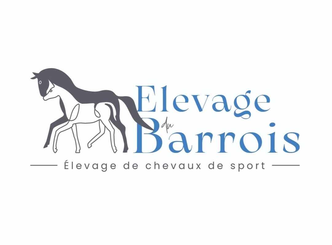 Réalisation du logotype et de l'identité visuelle pour l'élevage du Barrois (55)