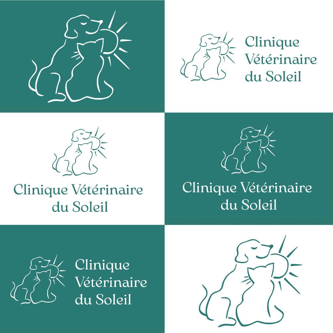 Réalisation de la nouvelle identité visuelle de la clinique vétérinaire du Soleil à Porto Vecchio