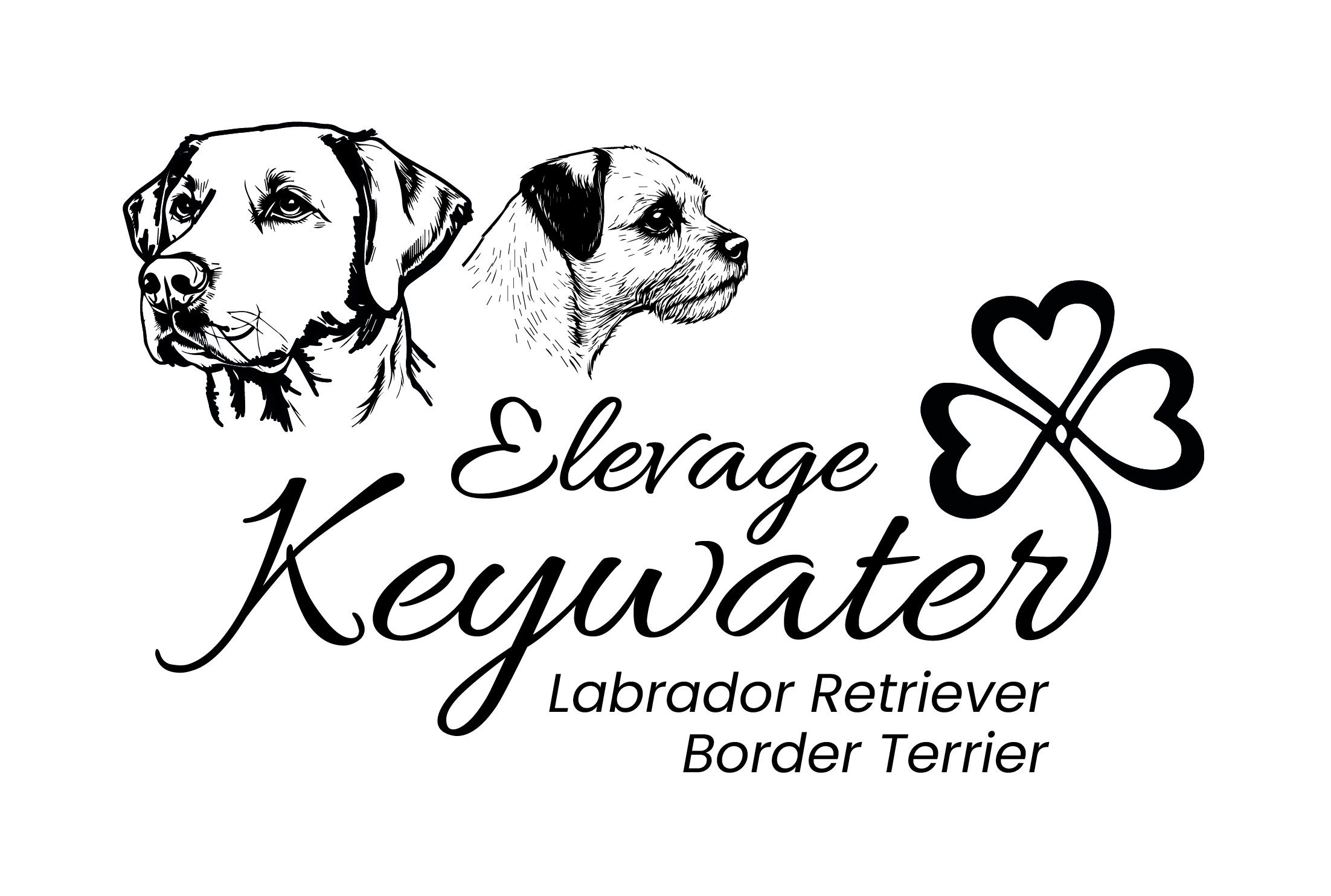 Création d'un logo pour l'élevage Keywater (71)